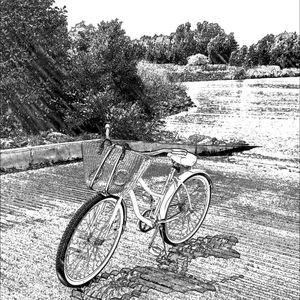 Meet your Posher, Diane